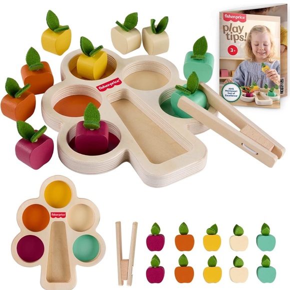 Fisher-Price Other - Fisher-Price Wooden Montessori Sorting Set